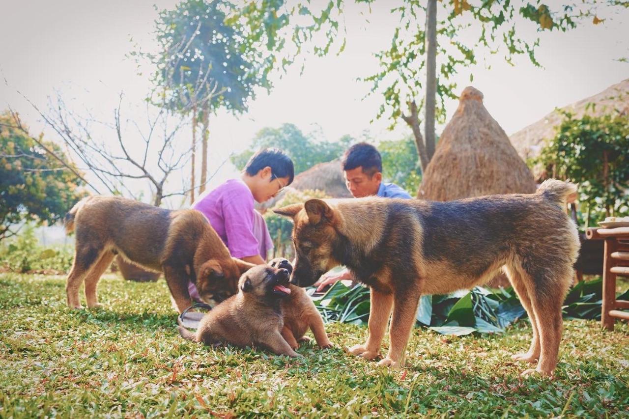 Mai Chau Valley Retreat מראה חיצוני תמונה