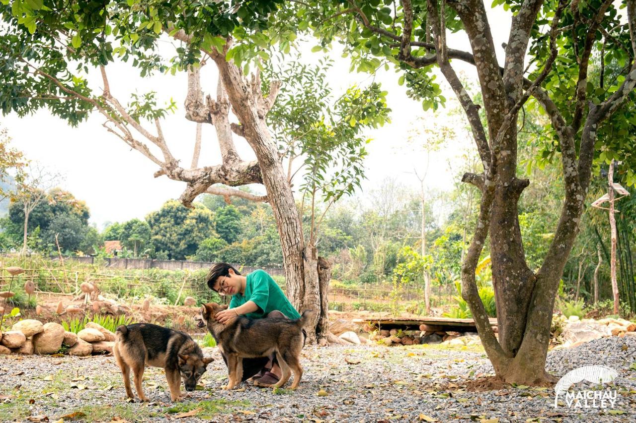 Mai Chau Valley Retreat מראה חיצוני תמונה